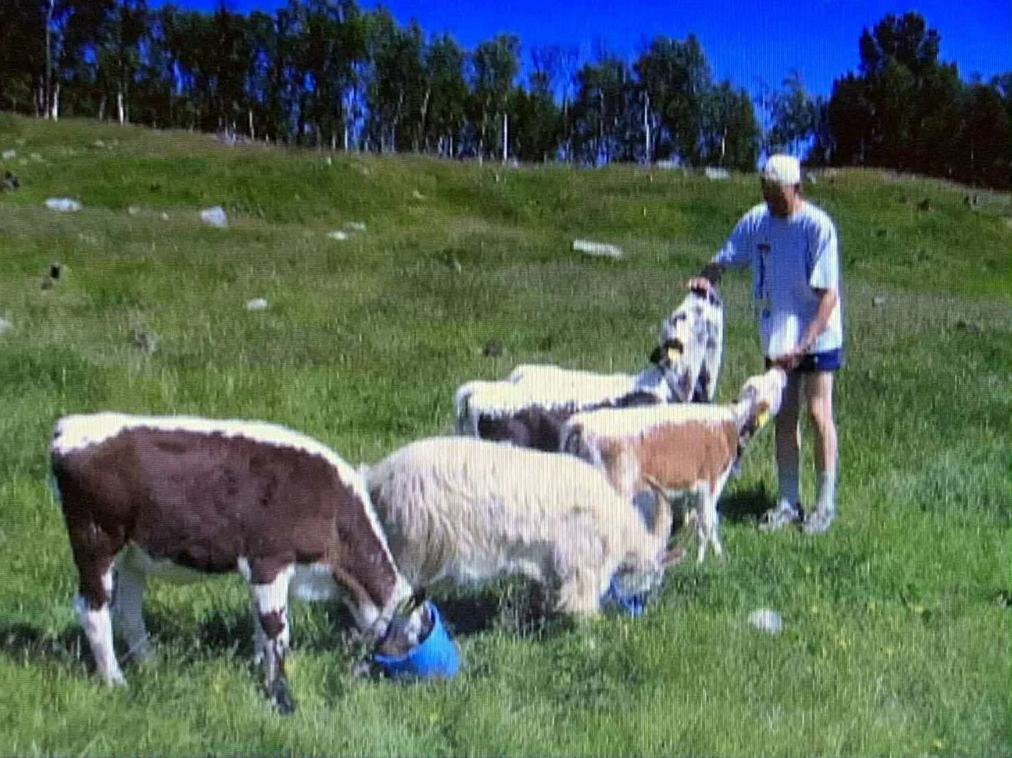 Bilde fra livet