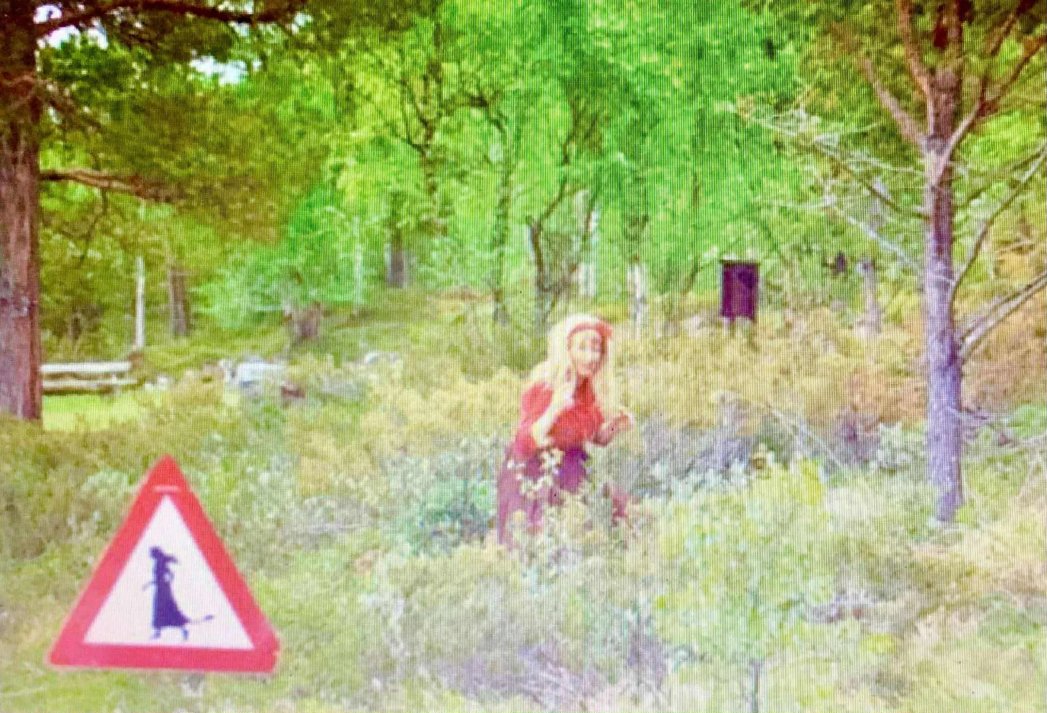 Bilde fra livet