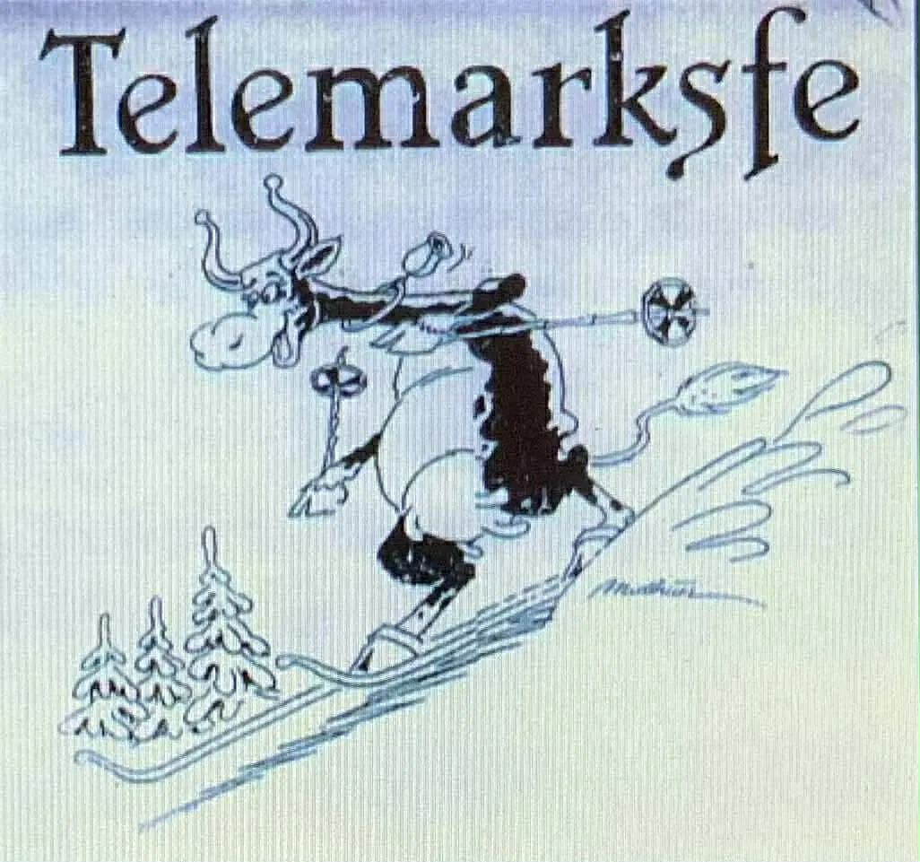 Bilde fra livet