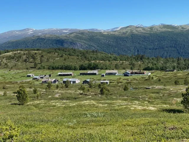 Bottemsetra