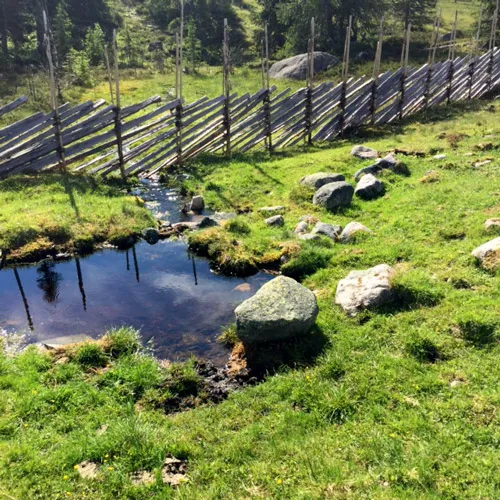 Seterparadis